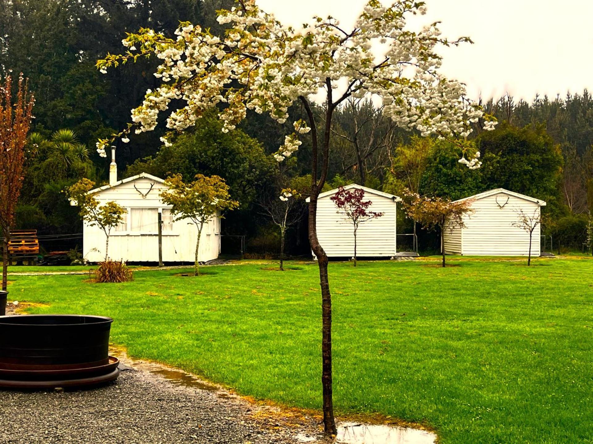 Хостел Taringatura Backpackers Benmore Екстер'єр фото